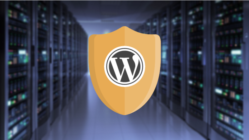 Hosting Level and Server Level Security of WordPress