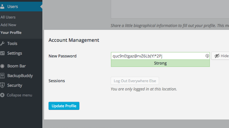 Strong Password for WP-Admin and Login